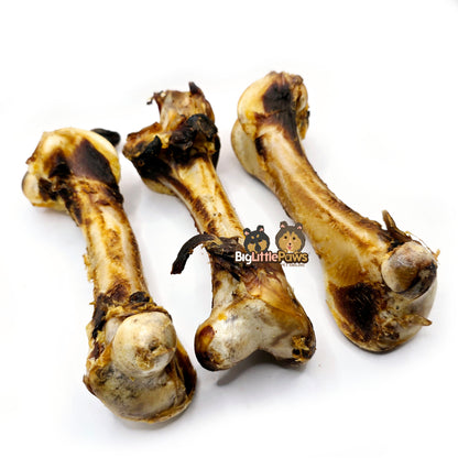 Emu Bone (Big Little Paws Singapore Dog Treats)