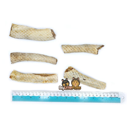 Shark Jerky Strips- Big Little Paws Singapore Dog Treats