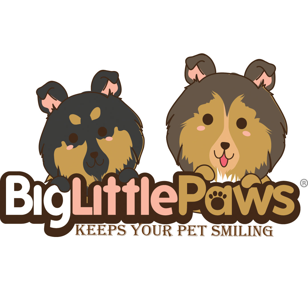 Big paws sale little paws