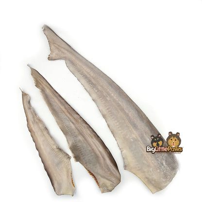 Shark Tail Dog Treats